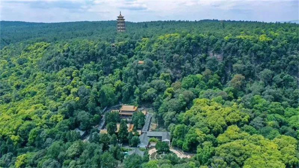 康養(yǎng)+旅游，冬游楚雄就選這條自駕線路
