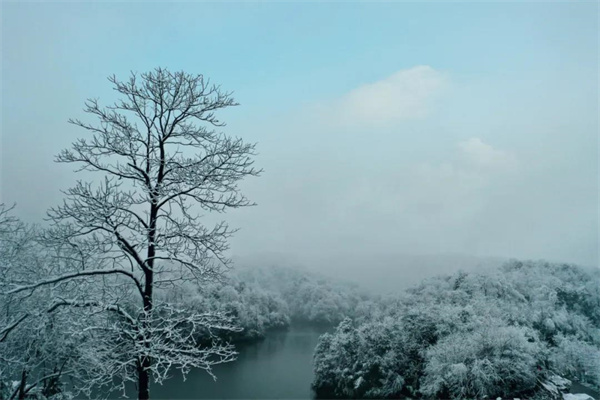 在銅鑼壩，來一場與風(fēng)雪邂逅的浪漫