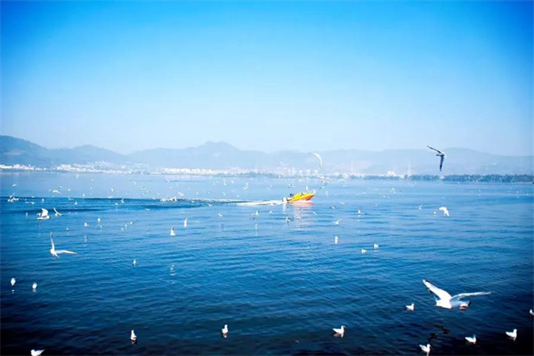 想偷半日浮生閑？來昆明看天、看湖、看雪景|春城冬韻·美景