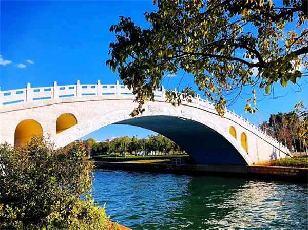 是時候去濕地公園轉(zhuǎn)轉(zhuǎn)了，水杉、白鷺、紅嘴鷗……多彩生物已上線！