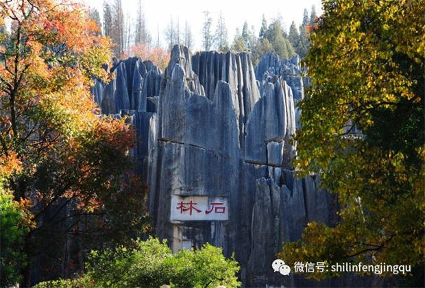 石林，中國(guó)天然氧吧
